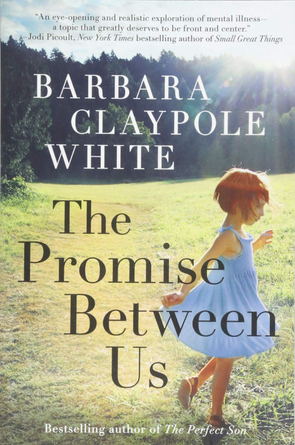 The Promise Between Us cover
