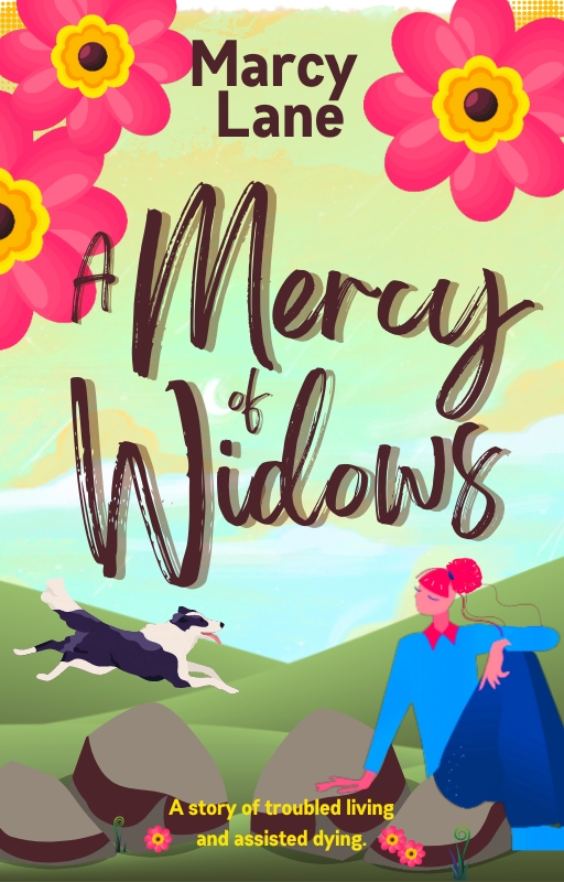 Cover image of A Mercy of Widows